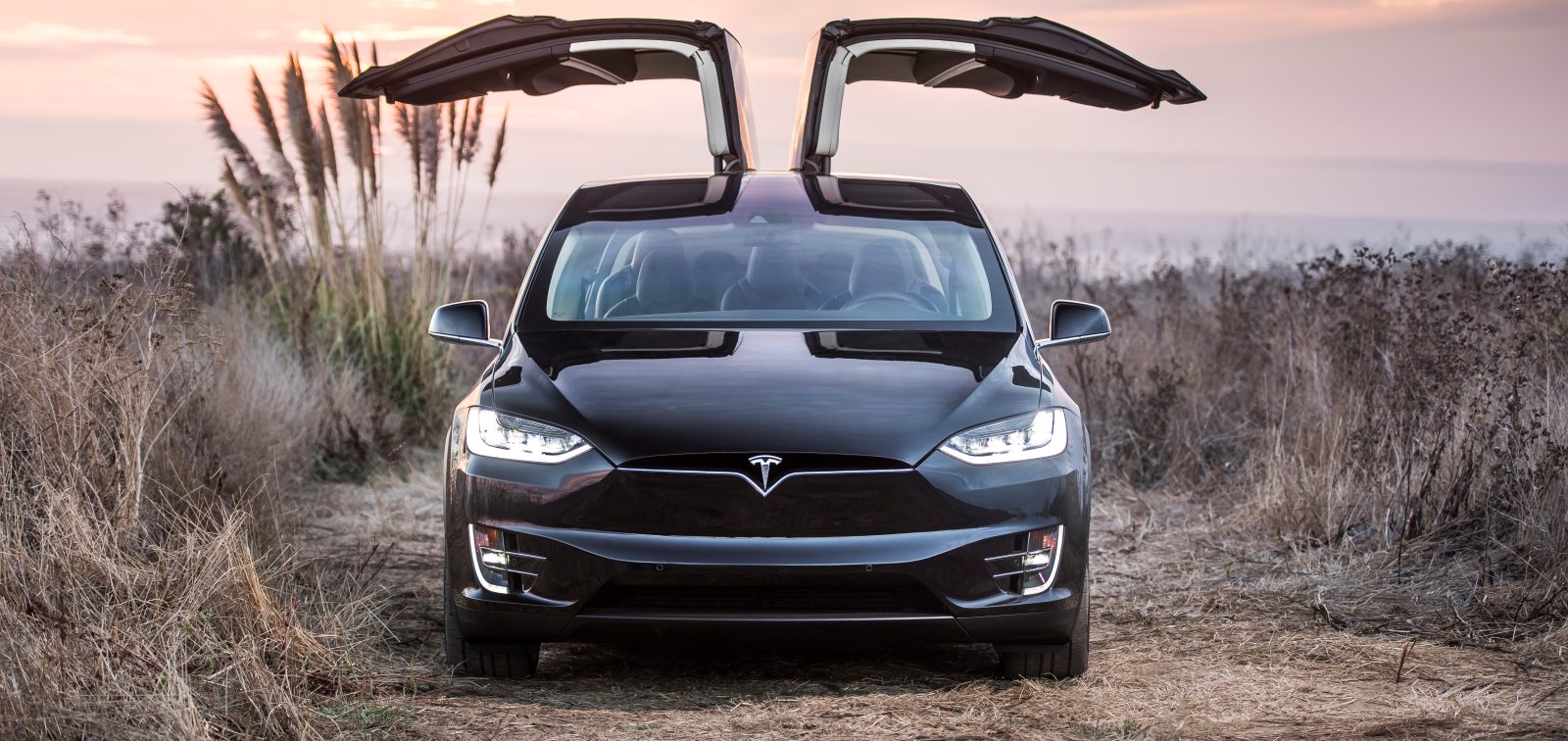 Electric SUV Tesla Model X